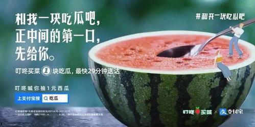 酒吧在线吃瓜免费,免费畅享娱乐盛宴